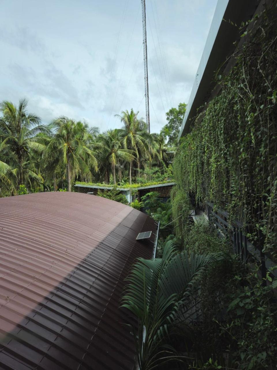 Homestay Bao Binh Ben Tre Exteriör bild