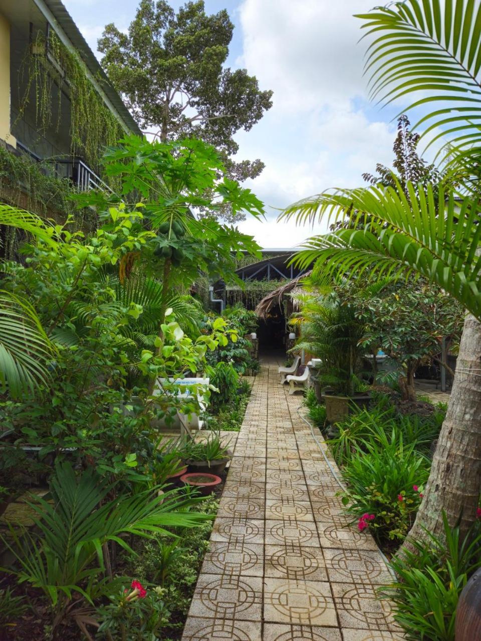 Homestay Bao Binh Ben Tre Exteriör bild