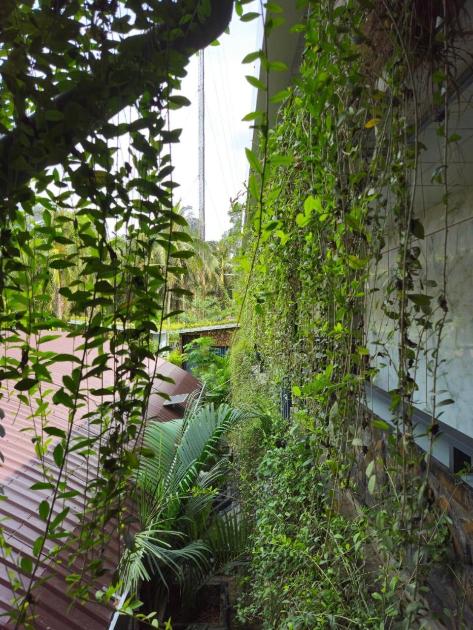 Homestay Bao Binh Ben Tre Exteriör bild