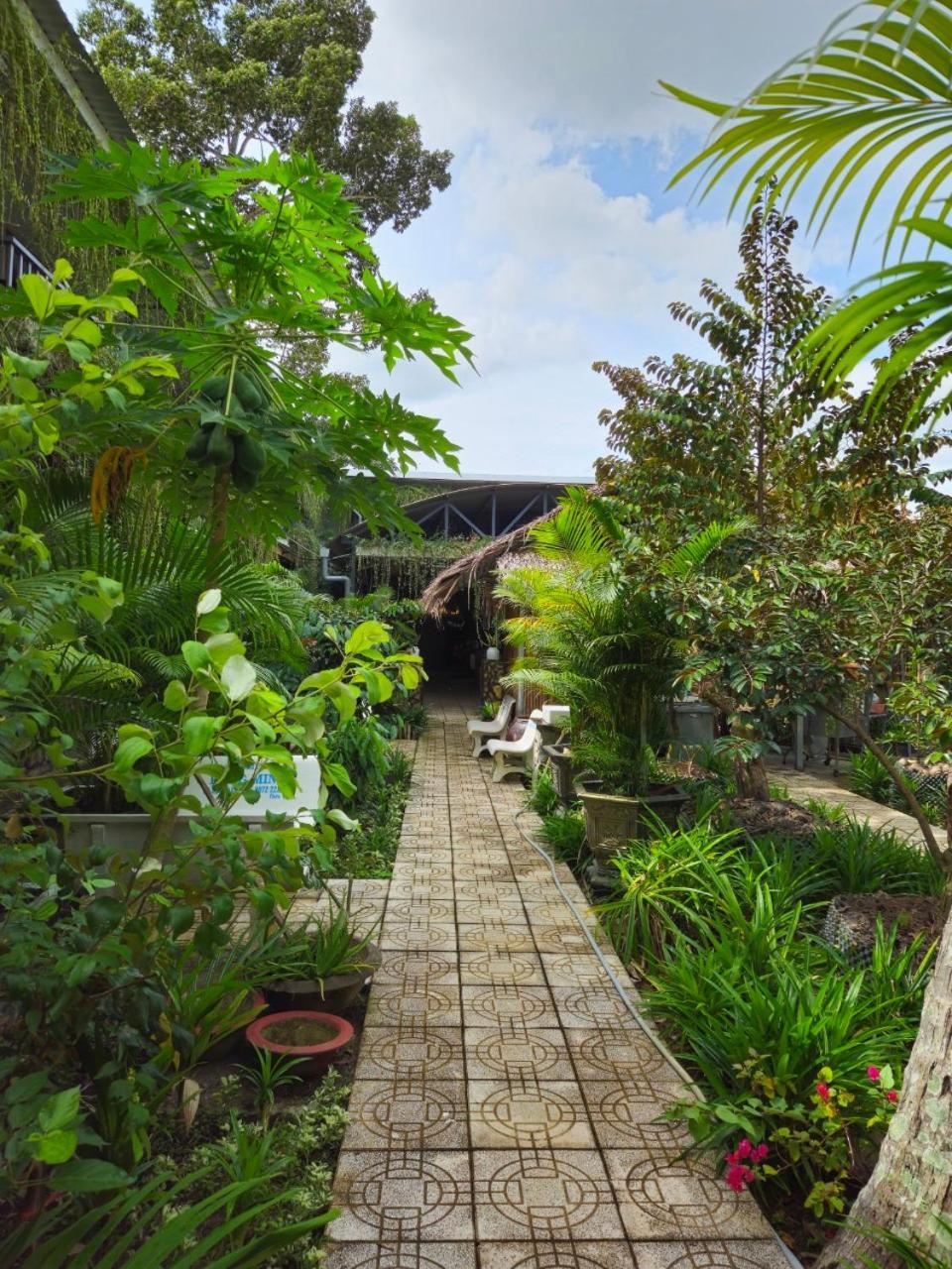 Homestay Bao Binh Ben Tre Exteriör bild
